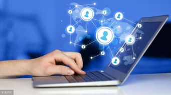 互聯網高利潤項目聚焦 網絡技術服務的前景與方向